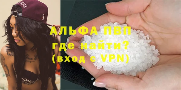 спиды Галич