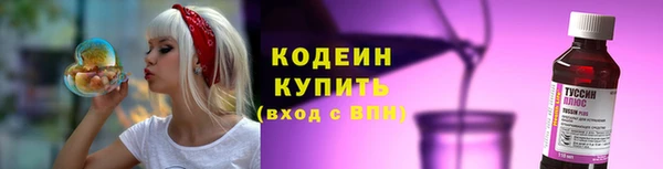 молекула духа Покров