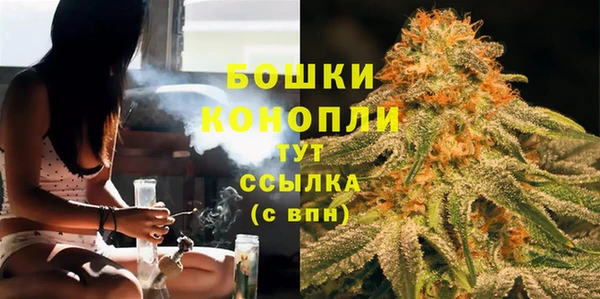 мдпв Пересвет