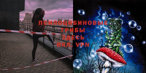 PSILOCYBIN Покачи