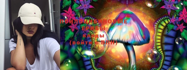 молекула духа Гатчина