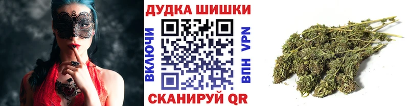Конопля план  купить наркотики цена  Руза 